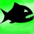 500 Tage PokerOlymp 500 Tage PokerOlymp