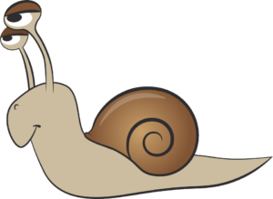 Schnecke: Slowplay beim Poker