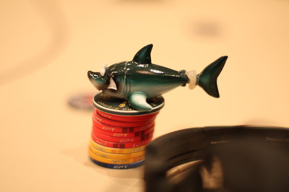 radi_sharks_shark radi_sharks_shark