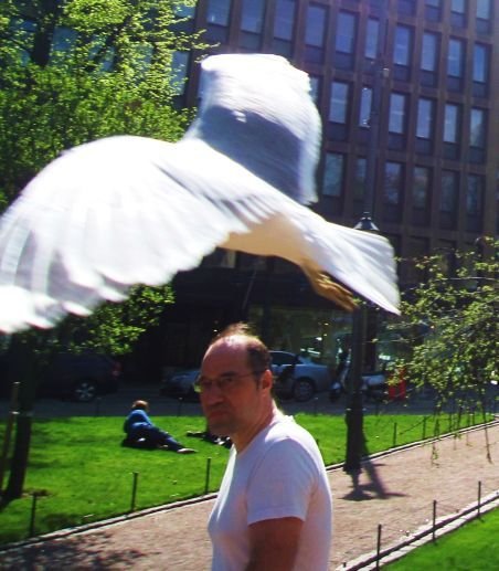 Auf den Schwingen des “Adlers” in Helsinki Quelle: carstenweidling.de H2