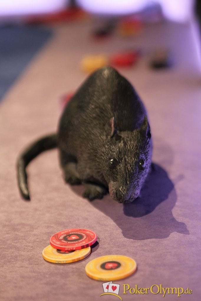 ratte_am_futurtable ratte_am_futurtable