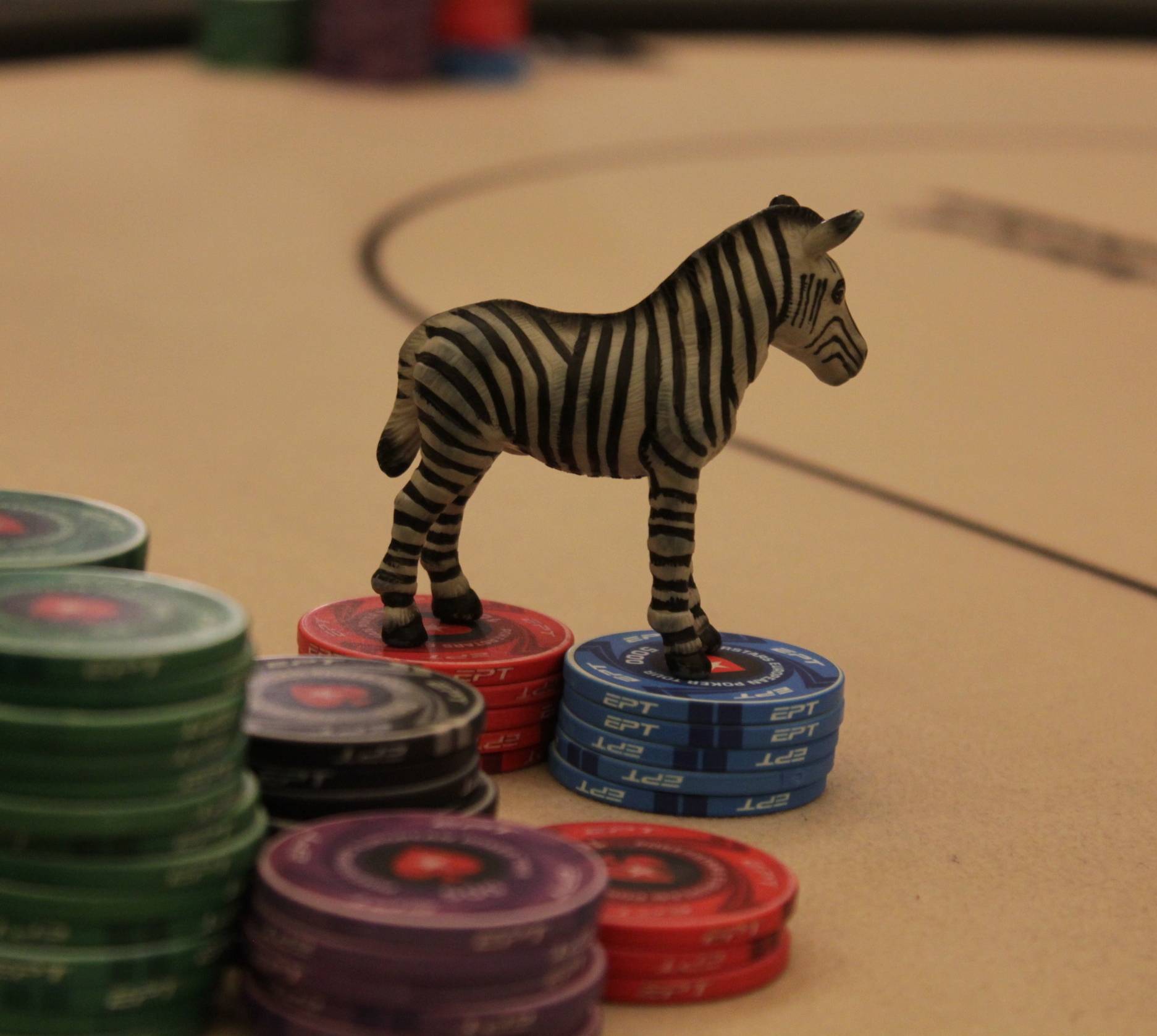 zebra_auf_chips zebra_auf_chips