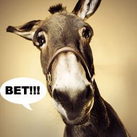 Die Donk-Bet Donk Bet