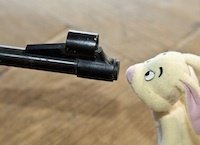 Keine Hasenjagd beim Poker Rabbit Hunting beim Poker