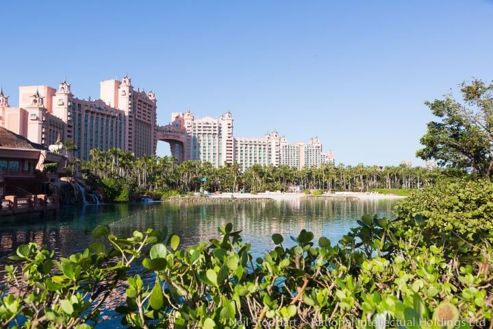 Bahamas Resort 8G2A9116 Atlantis PCB2017 Neil Stoddart